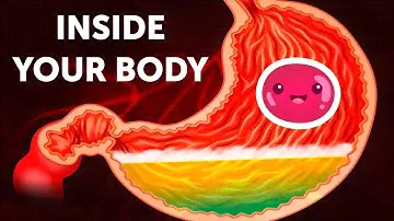 A Journey Inside Your Body
