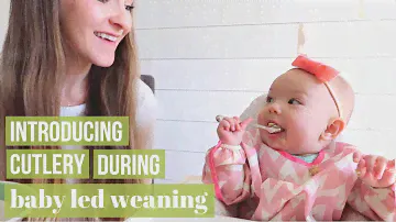 BABY LED WEANING: INTRODUCING A SPOON & FORK