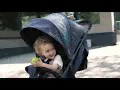 Коляска прогулочная Happy Baby Ultima V2 X4, Sand (Светло-коричневый)